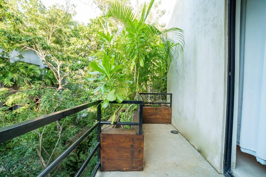 Appartamento Jungle Tribu Luum Zama