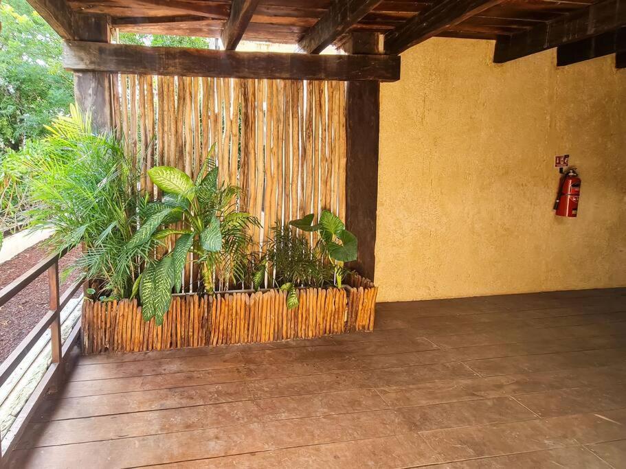 Jungle Tribu Luum Zama Apartment