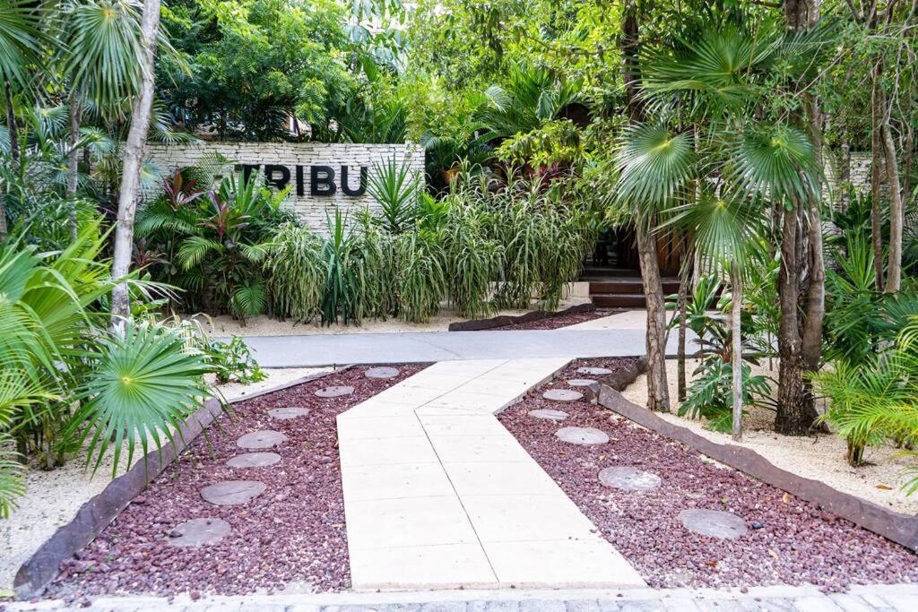 Jungle Tribu Luum Zama Apartment Tulum