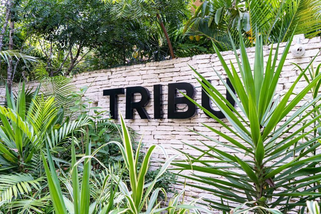 Apartment Jungle Tribu Luum Zama